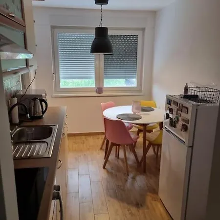 Studio Apartman Bojana 34M2,Free Wifi,Parking Sisak Exterior photo