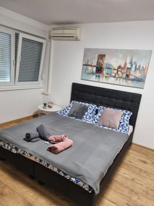 Apartment Bojana 34m2,free Wifi,parking Sisak