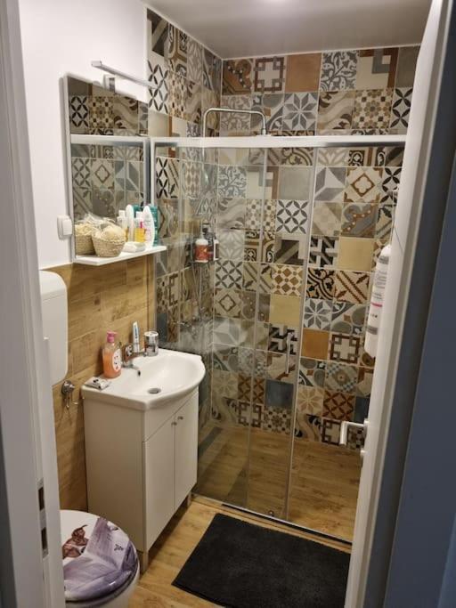 Bojana 34m2,free Wifi,parking Sisak