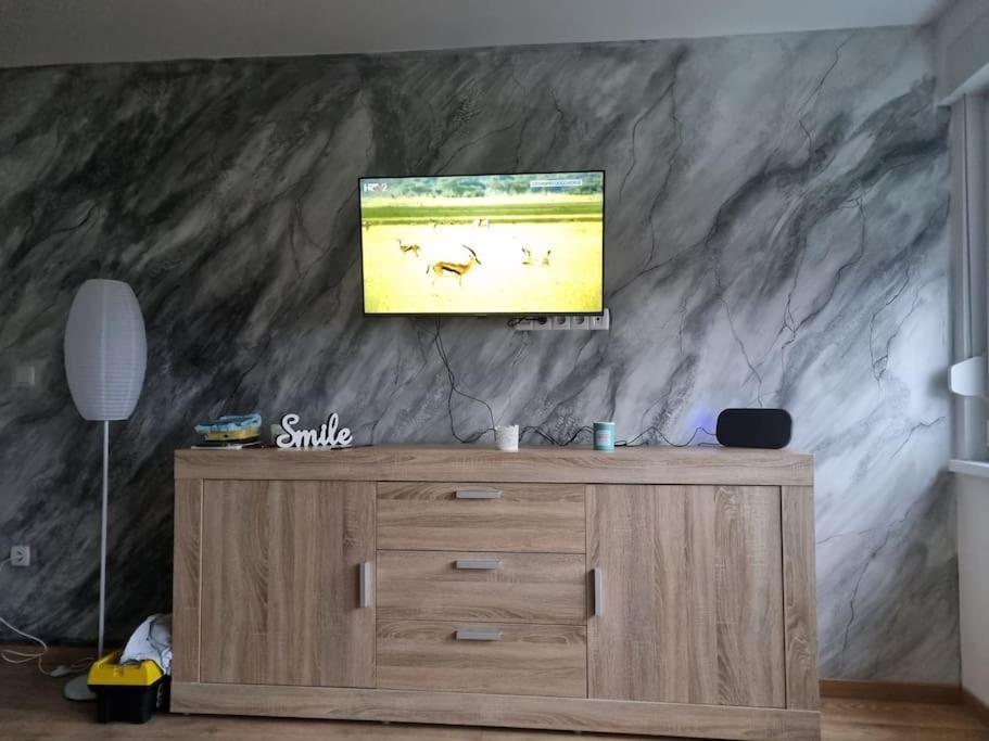 Bojana 34m2,free Wifi,parking * Sisak